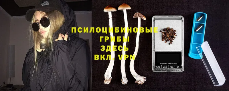 blacksprut ссылки  Инта  Псилоцибиновые грибы Psilocybine cubensis 